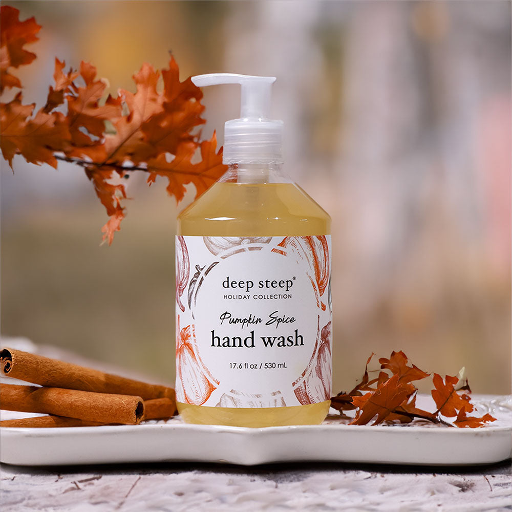 product photo of Deep Steep's pumpkin spice hand wash sitting on a table with cinnamon and fall leaves 